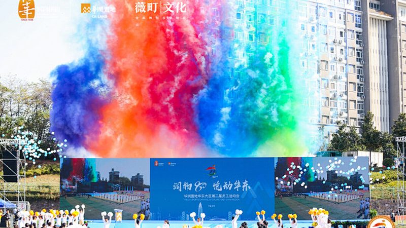 短视频代运营团队：构建高效内容矩阵的关键岗位
